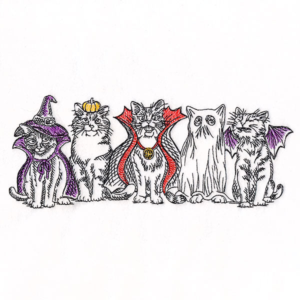 Happy Meow-lloween Cat Border