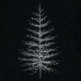 Ghost of Winter Tree