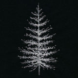 Ghost of Winter Tree