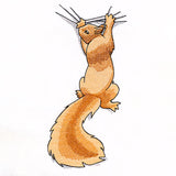 Hang in There Squirrel