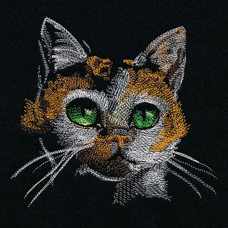Cat Portrait