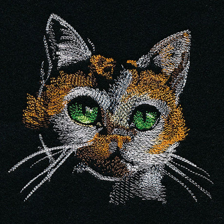 Cat Portrait