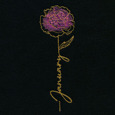 January Birth Flower - Carnation