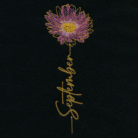 September Birth Flower - Aster