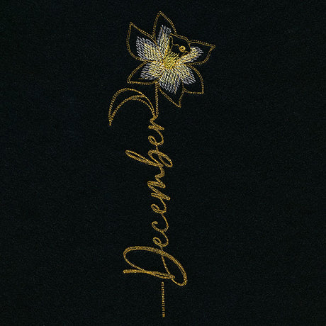 December Birth Flower - Narcissus