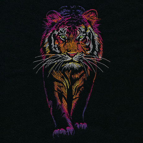Rainbows & Mystery Tiger