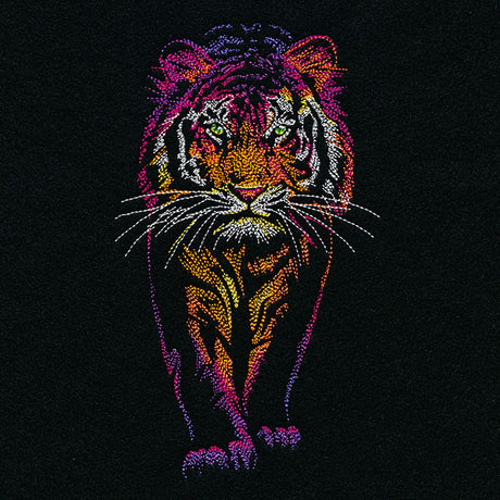 Rainbows & Mystery Tiger