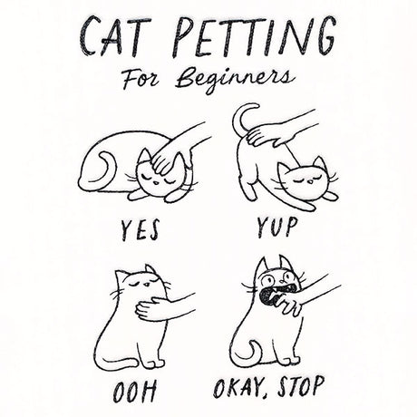 Cat Petting Guide