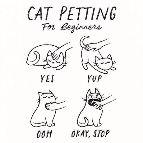 Cat Petting Guide