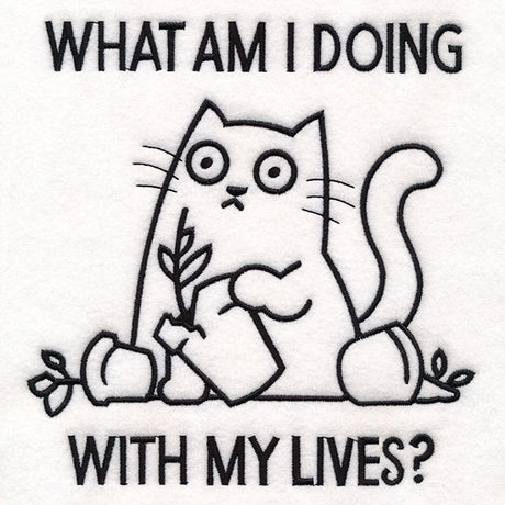 What Am I Doing Cat