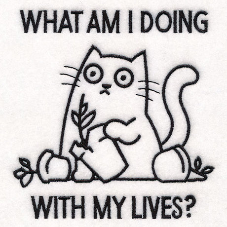 What Am I Doing Cat