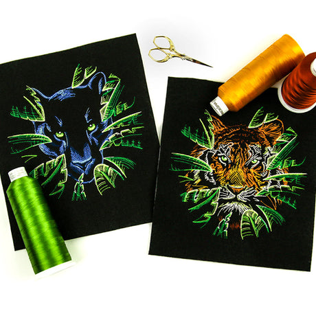 Wild Tropical Tiger