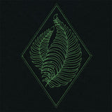 Delicate Fern