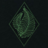 Delicate Fern