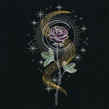 Illuminated Rose
