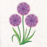 Allium Bouquet