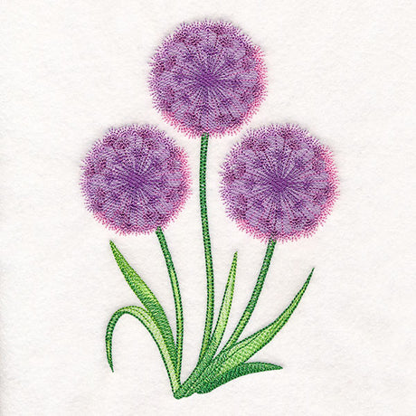 Allium Bouquet