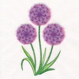 Allium Bouquet