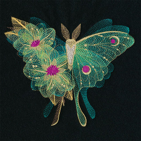 Sheer Illusions Luna Moth