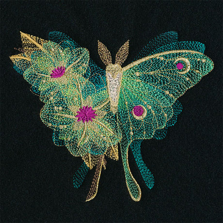 Sheer Illusions Luna Moth