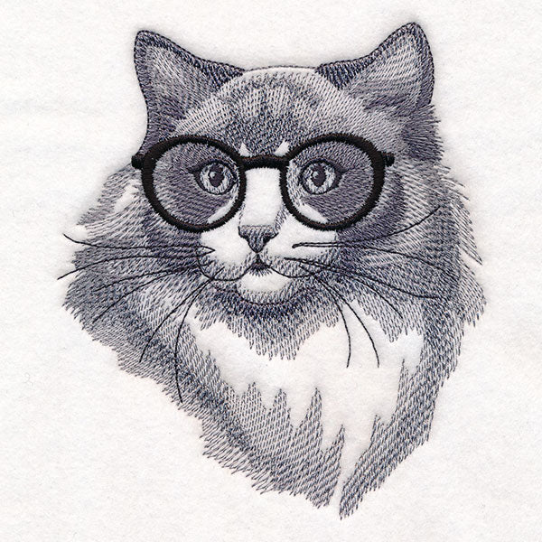 Hipster Ragdoll Cat