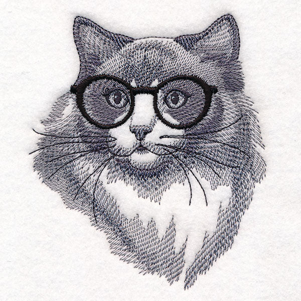 Hipster Ragdoll Cat