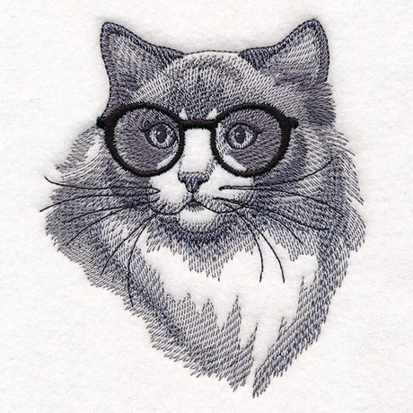 Hipster Ragdoll Cat