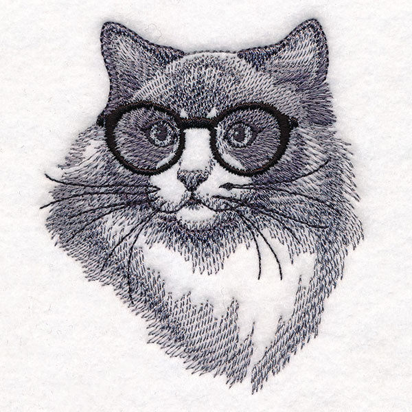 Hipster Ragdoll Cat