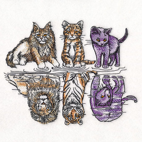 Aspirational Cat Reflections