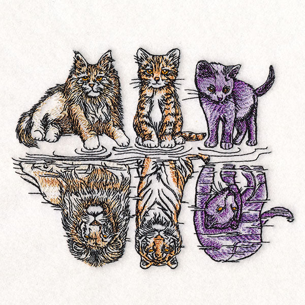 Aspirational Cat Reflections