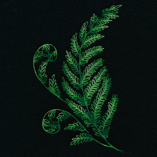 Textured Fern