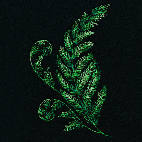 Textured Fern