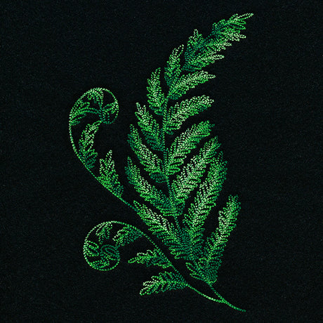 Textured Fern