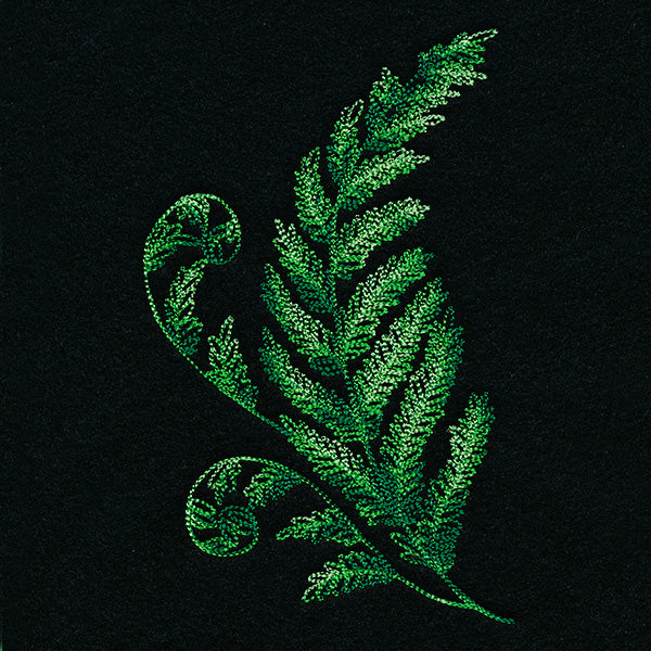 Textured Fern