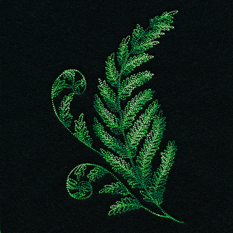 Textured Fern