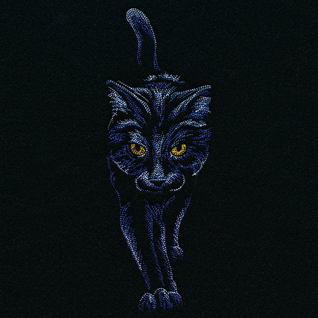 Moonlit Black Cat