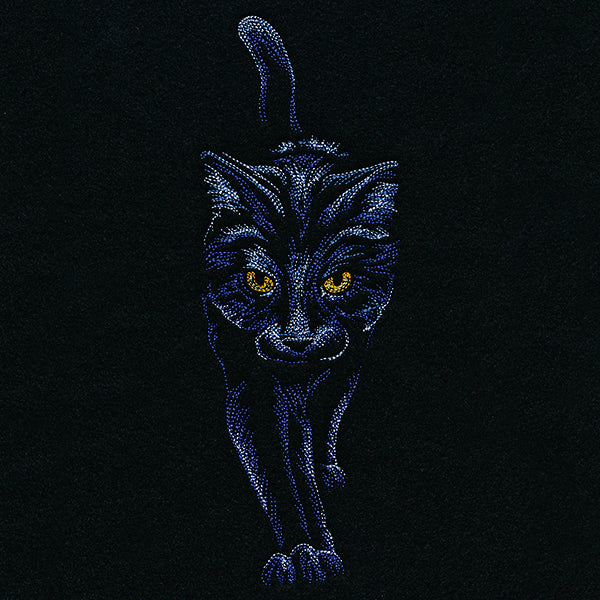 Moonlit Black Cat