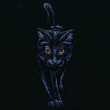 Moonlit Black Cat
