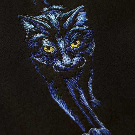 Moonlit Black Cat