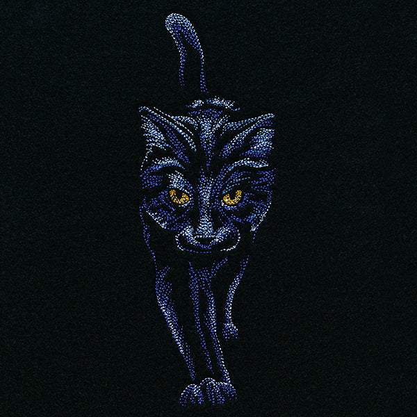 Moonlit Black Cat