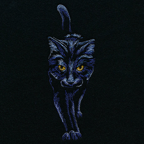 Moonlit Black Cat