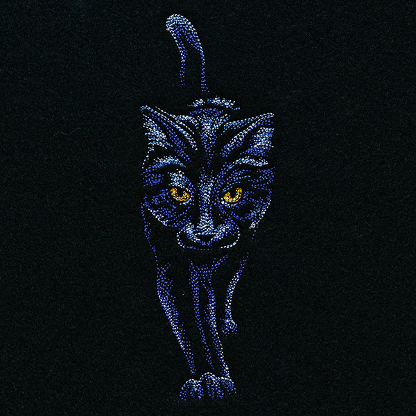 Moonlit Black Cat