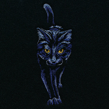 Moonlit Black Cat