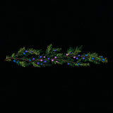 Juniper & Berries Border