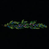 Juniper & Berries Border