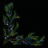 Juniper & Berries Corner