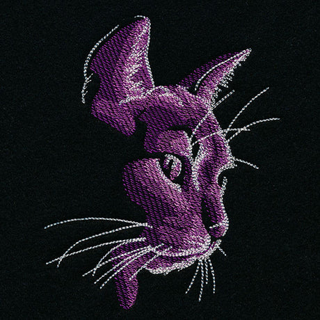 Moonlit Kitties - Looking Down
