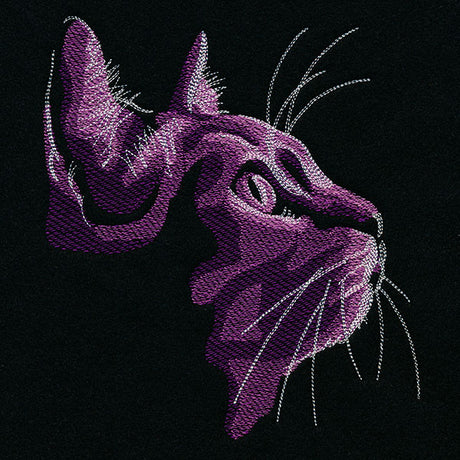 Moonlit Kitties - Looking Up