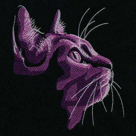 Moonlit Kitties - Looking Up