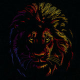 Rainbows & Mystery - Lion Head